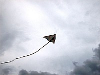2008 KiteFestival-031.jpg